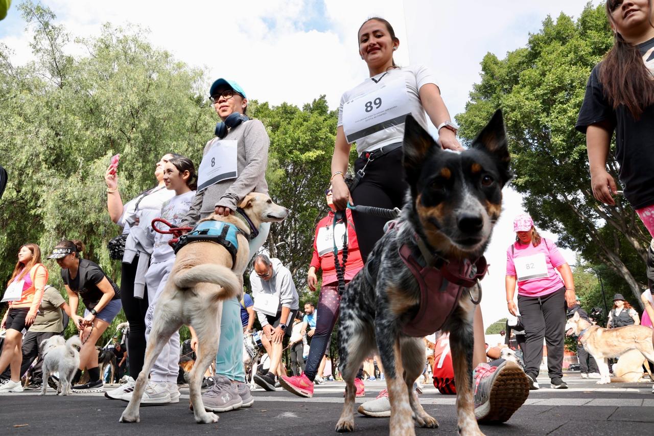 “Amar es Adoptar”: una carrera que corrió directo al corazón en Coyoacán