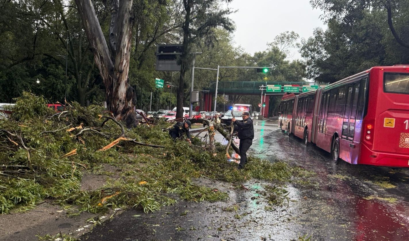 Plan Tlaloque atendió 13 encharcamientos, 11 árboles caídos y tres cortocircuitos por lluvias de ayer en CDMX