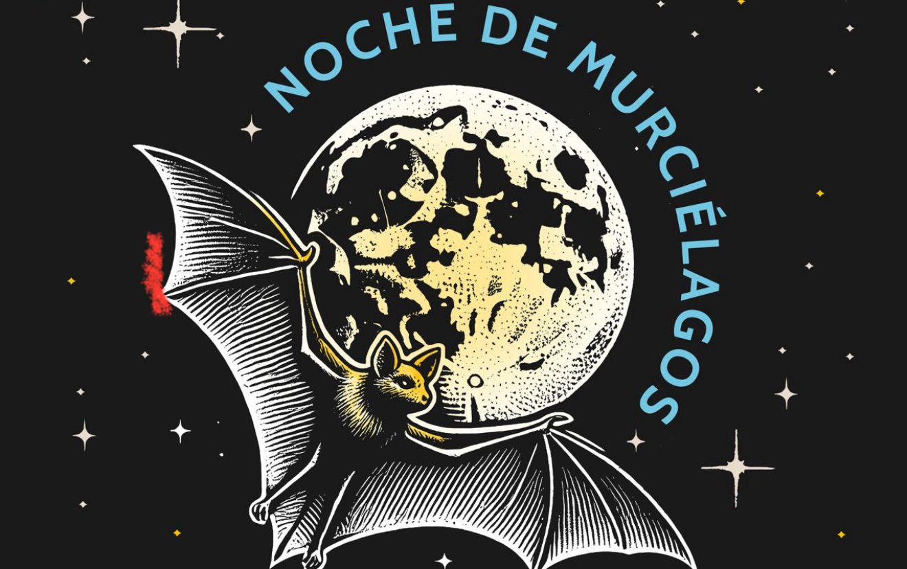 Vive la “Noche de Murciélagos” en Iztapalapa: campamento único del Gobierno de la Ciudad de México