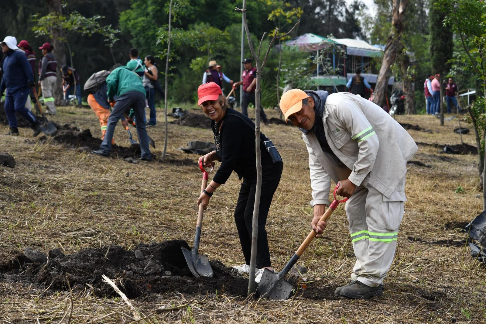 Reforestan Bosque de Tláhuac con 1,200 especies nativas como parte de los Tequios por la Restauración