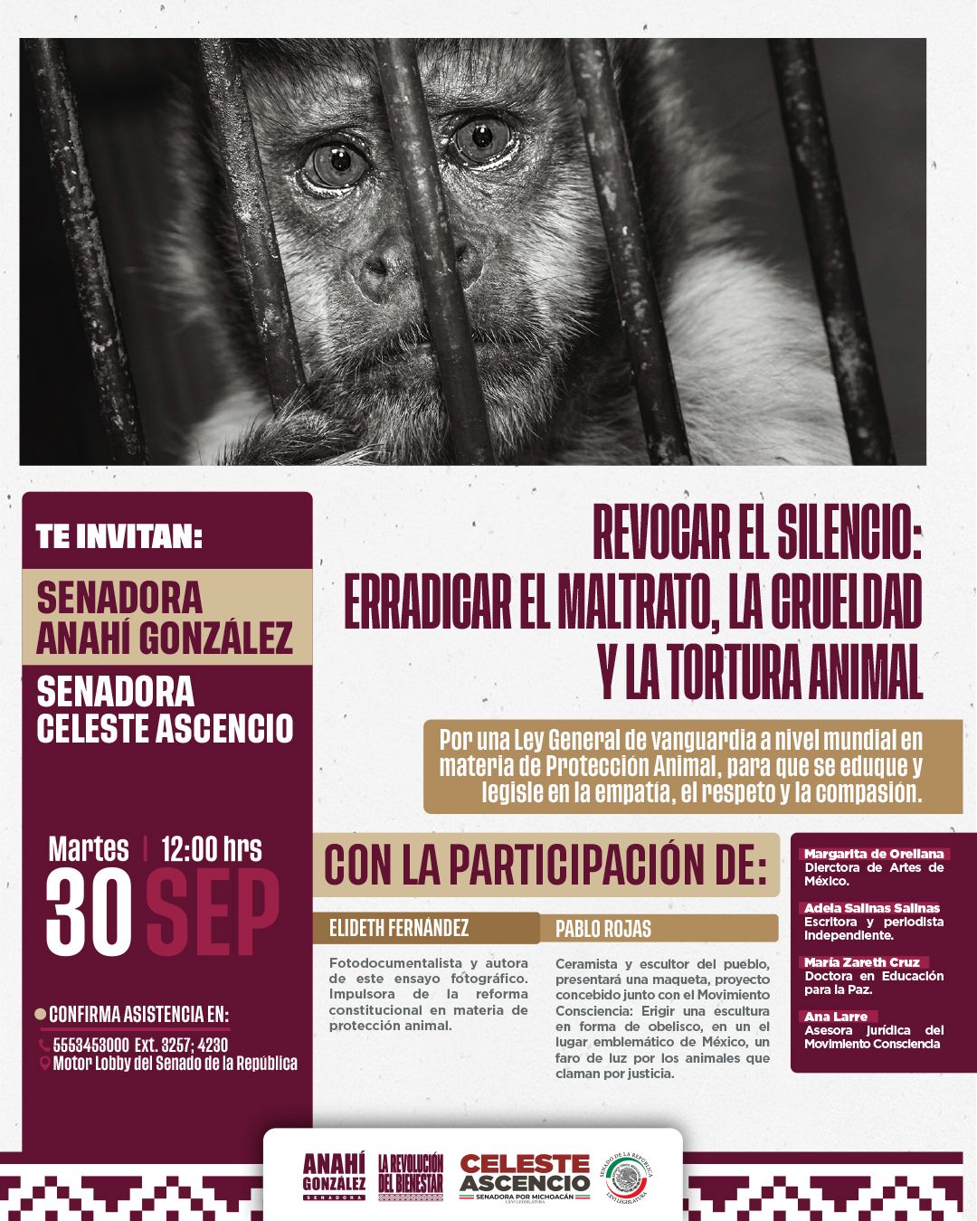 Senado será sede de exhibición cultural contra el maltrato animal