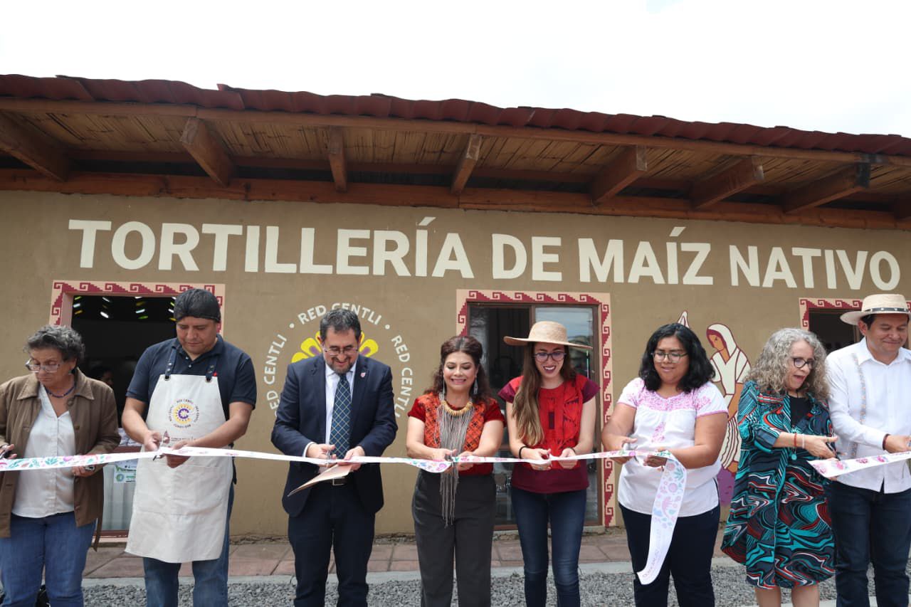 Clara Brugada inaugura la primera tortillería de maíz nativo en la CDMX