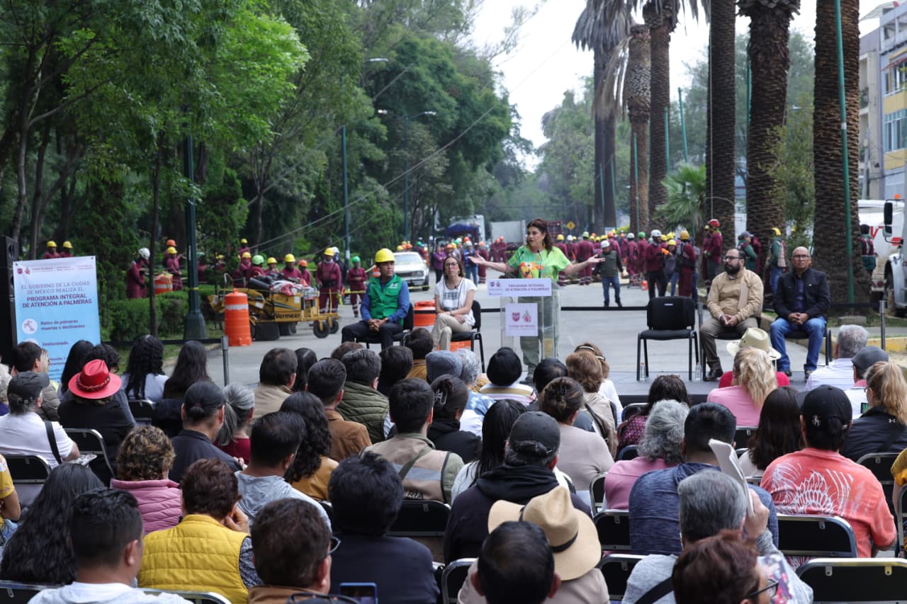 CDMX lanza Programa Integral de Atención a Palmeras: sustituirán 1,500 ejemplares en declive por árboles nativos
