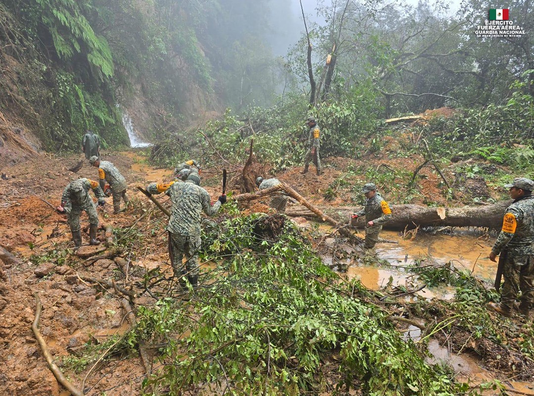 Lluvias torrenciales dejan 37 muertos y más de 33 mil viviendas afectadas en México