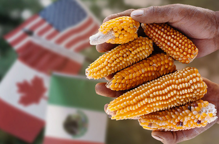 Importaciones de granos entre enero y octubre alcanzan máximo histórico en México