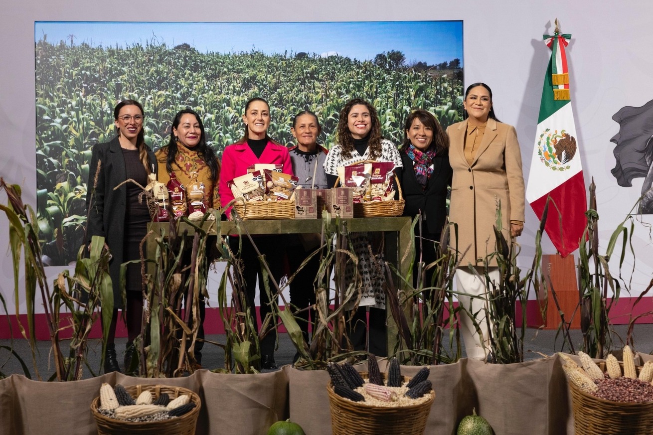 Sheinbaum presenta ‘Plan Nacional de Maíz Nativo: el Maíz es la Raíz’: preserva la riqueza genética y beneficia a 1.5 millones de personas campesinas
