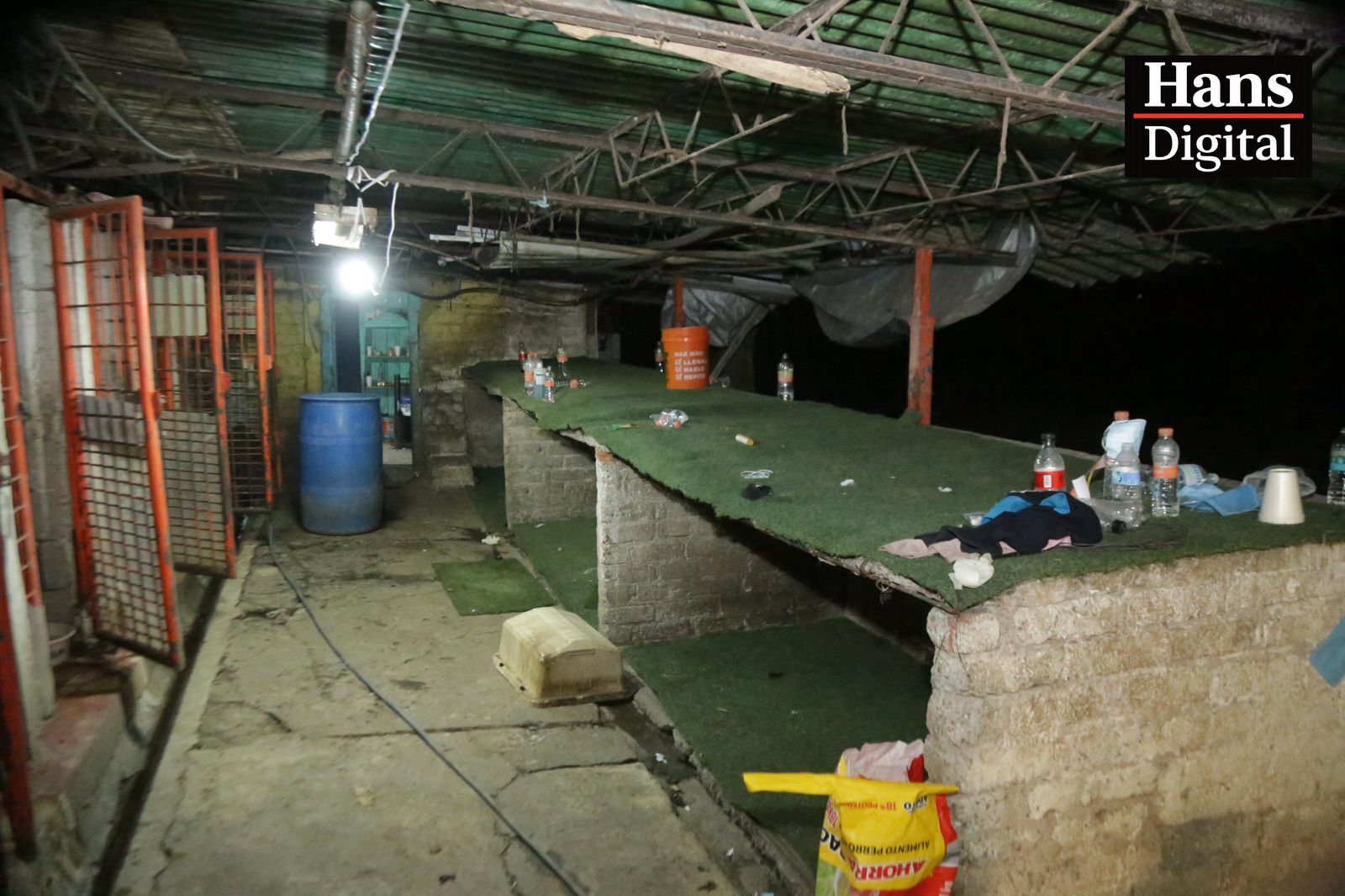 Brugada prioriza bienestar animal, no interviene en conflicto inmobiliario; aclara situación del Refugio Franciscano