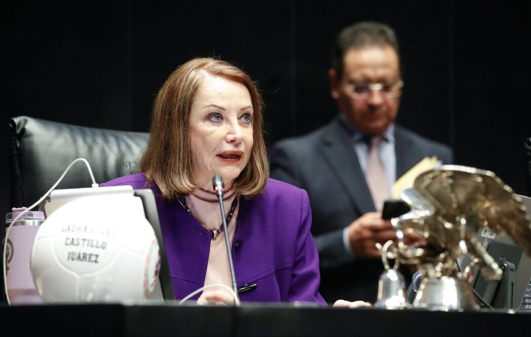 “Las transformaciones nunca han sido fáciles”: Laura Itzel Castillo, tras aprobación parcial del ‘Plan B’