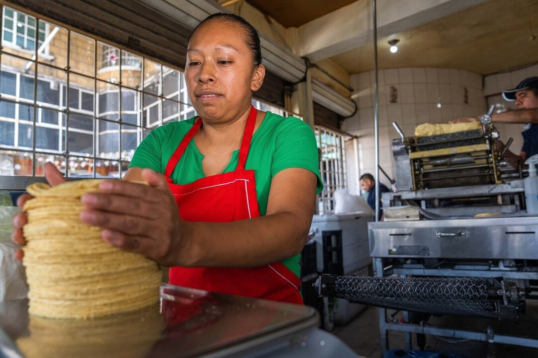 “No hay aumento en el precio de la tortilla”: Gobierno de México tras reunirse con la industria