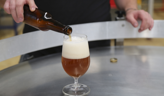 Exportaciones de cerveza mexicana superan 6 mil 400 millones de dólares y llegan a 98 países
