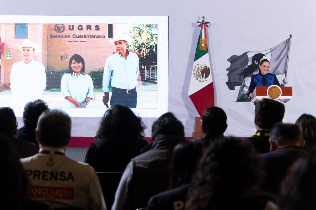 Presidenta Sheinbaum anuncia reanudación de la exportación de ganado a Estados Unidos desde Sonora