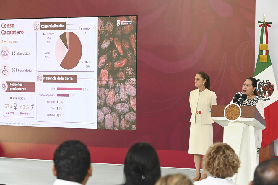 Avanza plan de procesamiento de cacao en Tabasco: presidenta Sheinbaum