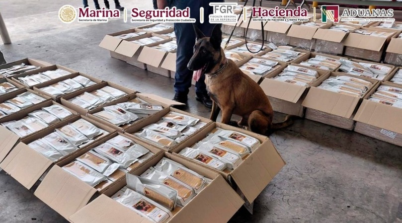 Pasado de tueste: Decomisan más de mil kilos de cocaína camuflados como café en el Aeropuerto Internacional de la CDMX